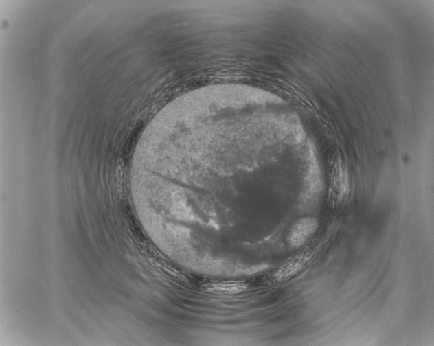 X0000061760659200512302305