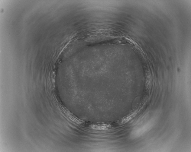 X0000061760661200512302305