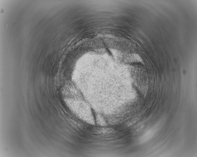 X0000061760663200512302305