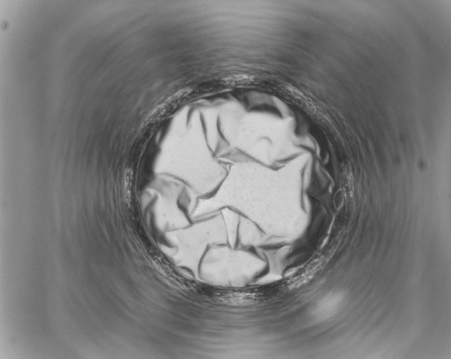 X0000061760664200512302305