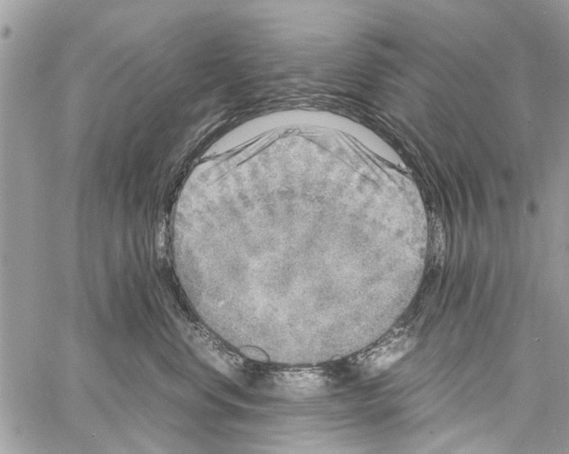 X0000061760668200512302305