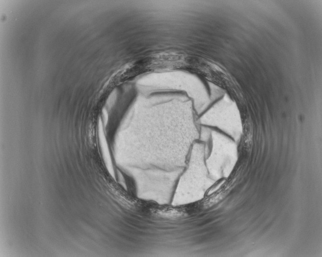 X0000061760669200512302305