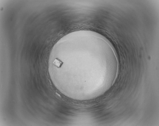 X0000061760672200512302305