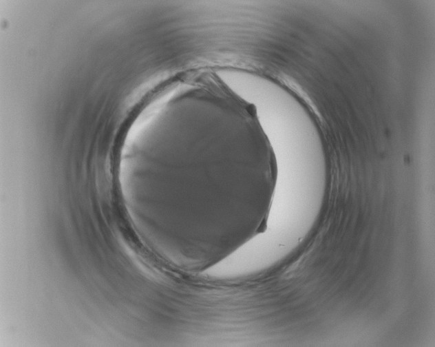 X0000061760674200512302304