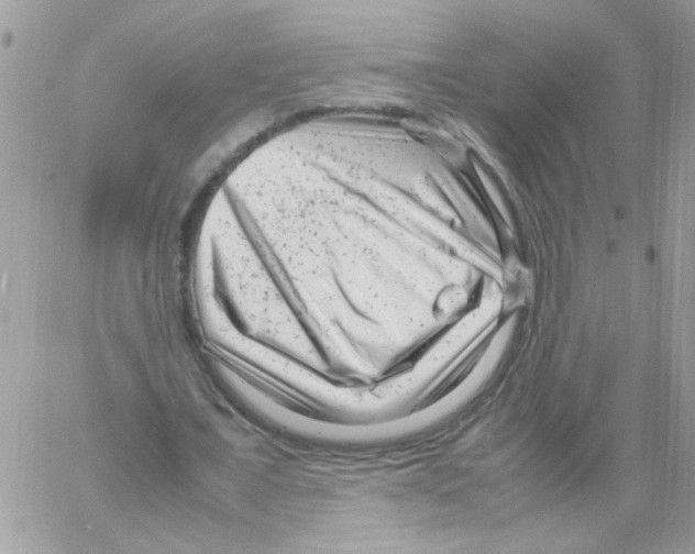 X0000061760675200512302304