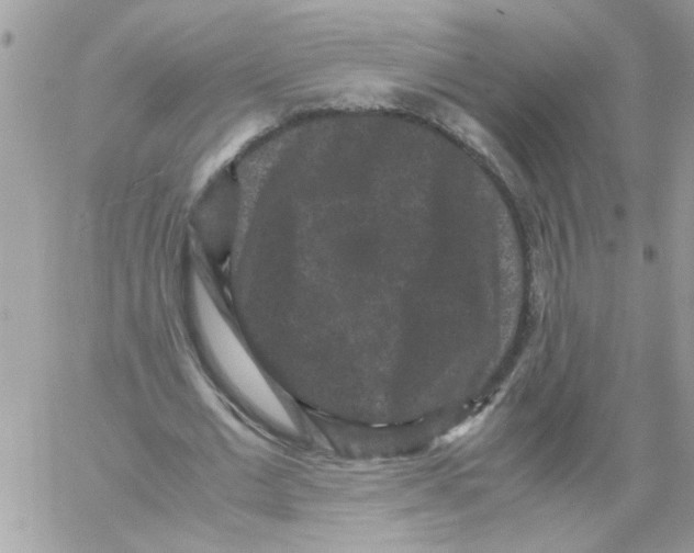 X0000061760677200512302304