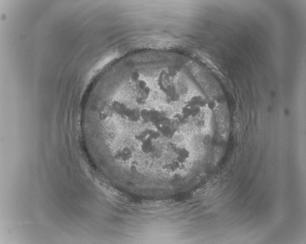 X0000061760679200512302304