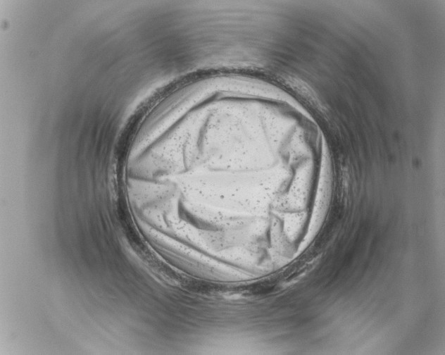 X0000061760680200512302304