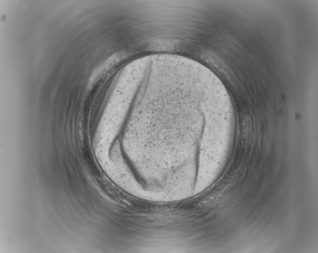 X0000061760682200512302304