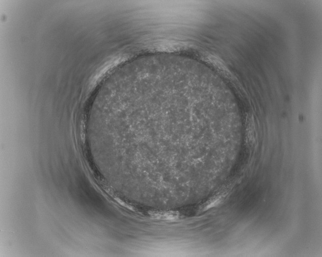 X0000061760683200512302304