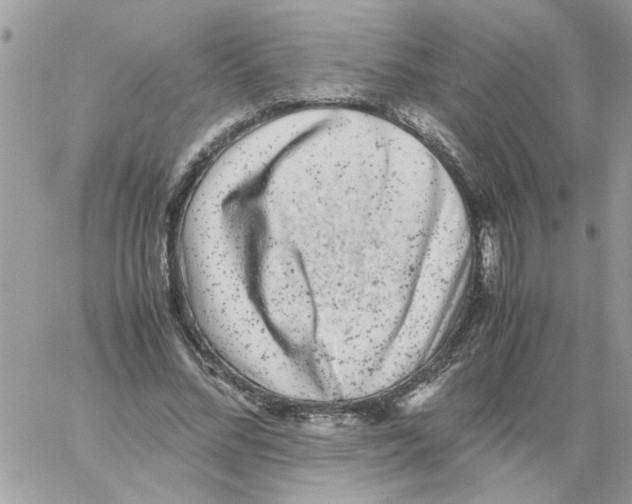 X0000061760684200512302304