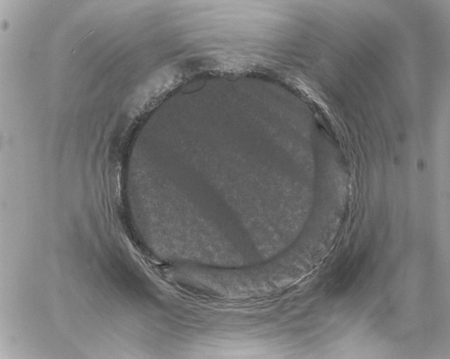 X0000061760685200512302304