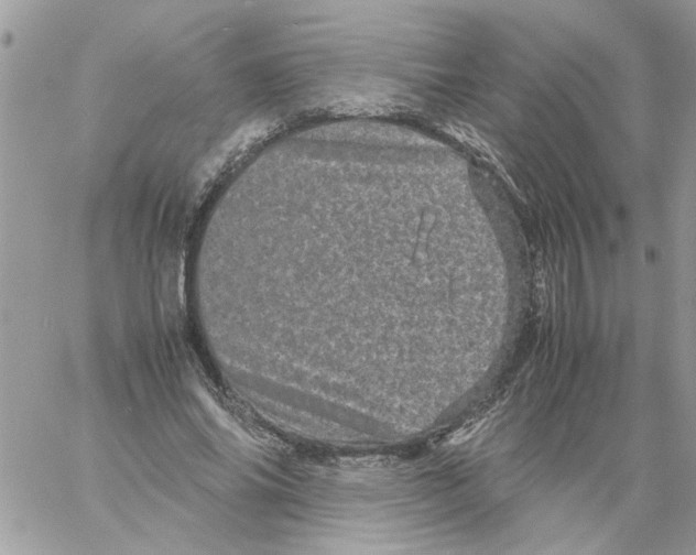 X0000061760686200512302304