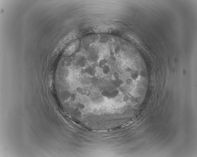 X0000061760687200512302304