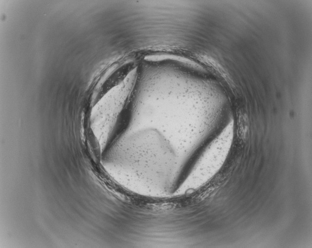 X0000061760688200512302304