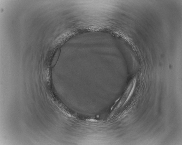 X0000061760689200512302304