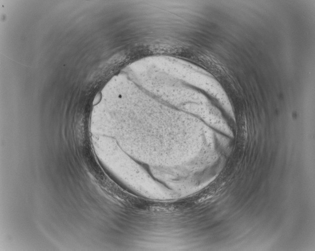 X0000061760690200512302304