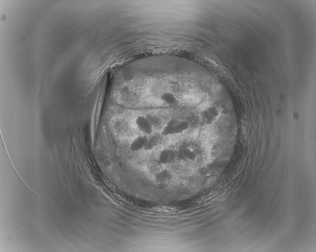 X0000061760691200512302304