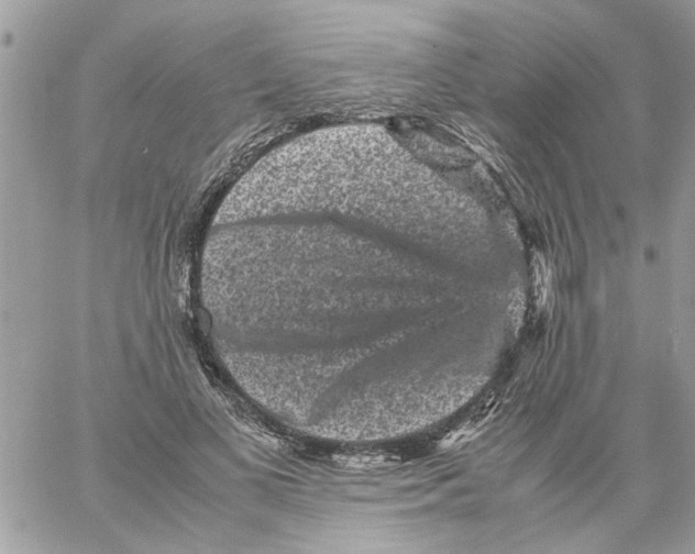 X0000061760693200512302304