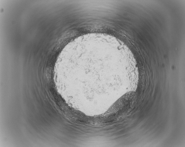 X0000061760695200512302304