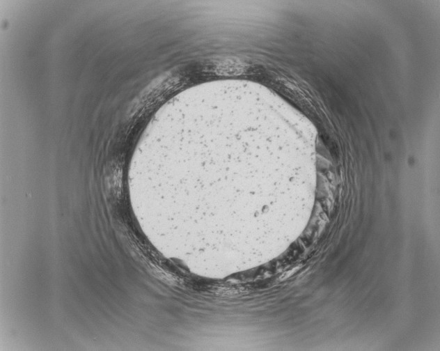 X0000061760697200512302304