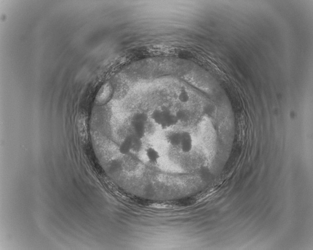 X0000061760699200512302304