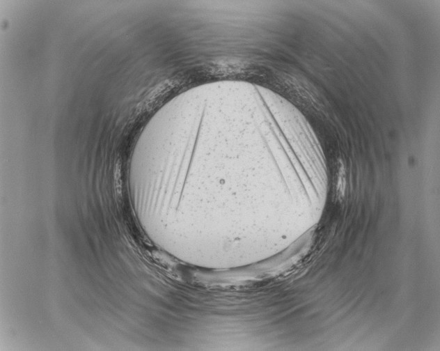 X0000061760700200512302304