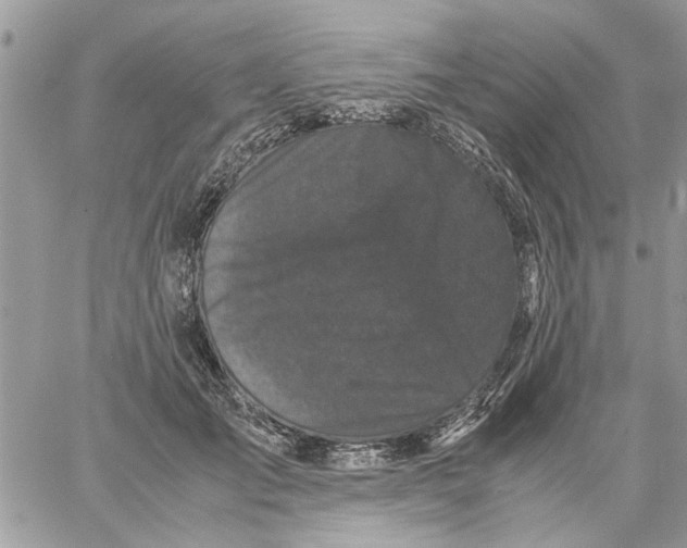 X0000061760701200512302304