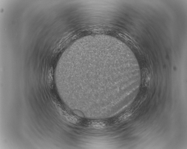 X0000061760702200512302304