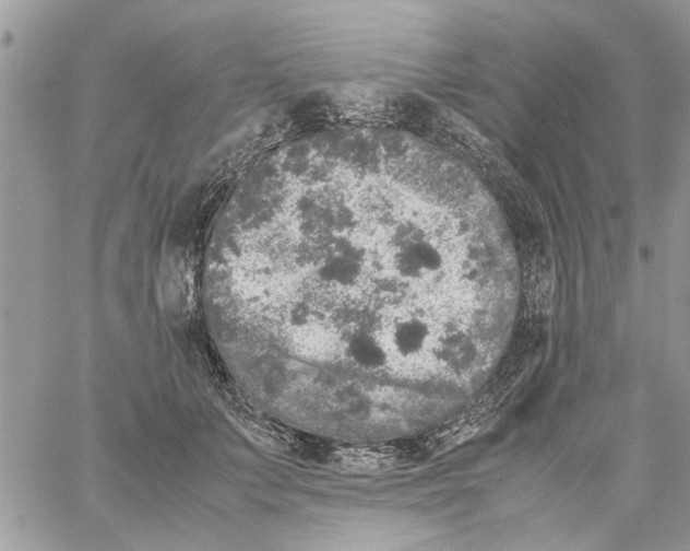 X0000061760703200512302304