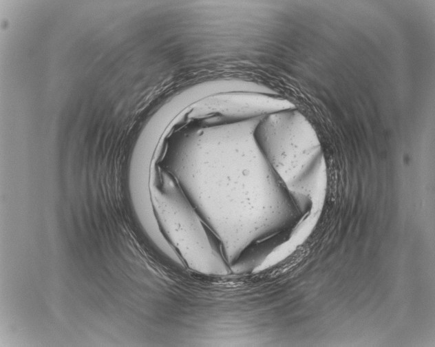 X0000061760704200512302304