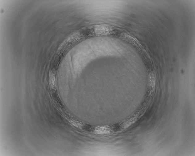 X0000061760705200512302304