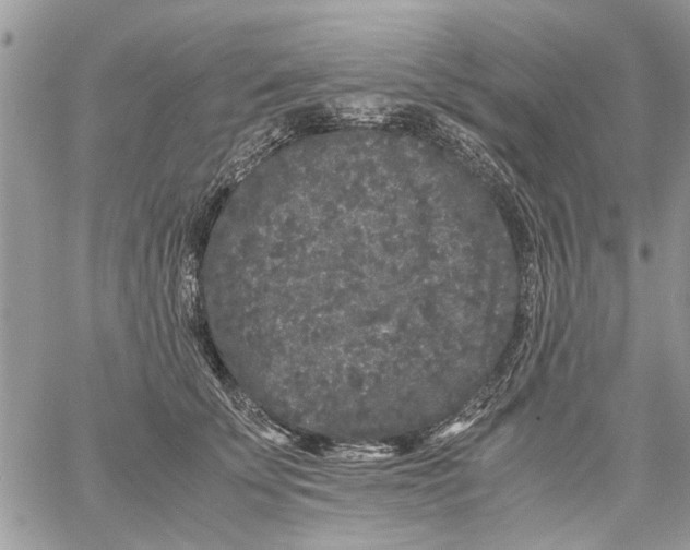 X0000061760707200512302304