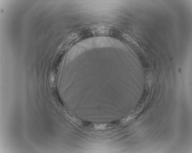 X0000061760709200512302304