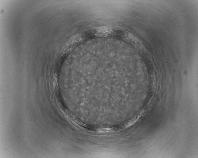 X0000061760711200512302303