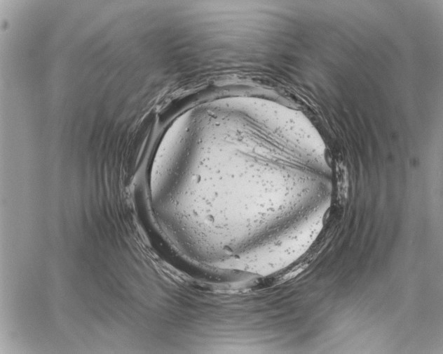 X0000061760712200512302303