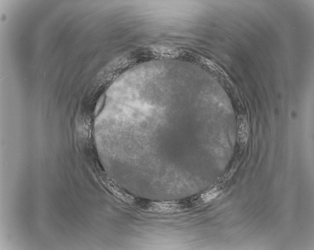 X0000061760713200512302303