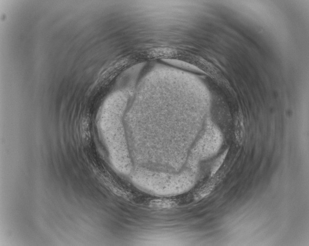 X0000061760714200512302303