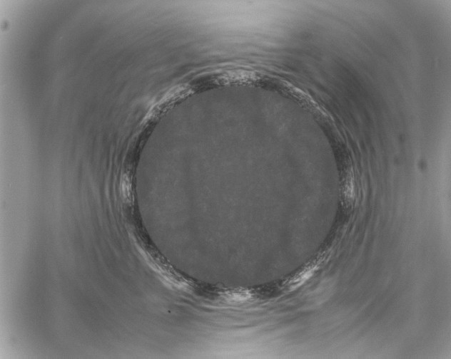 X0000061760715200512302303