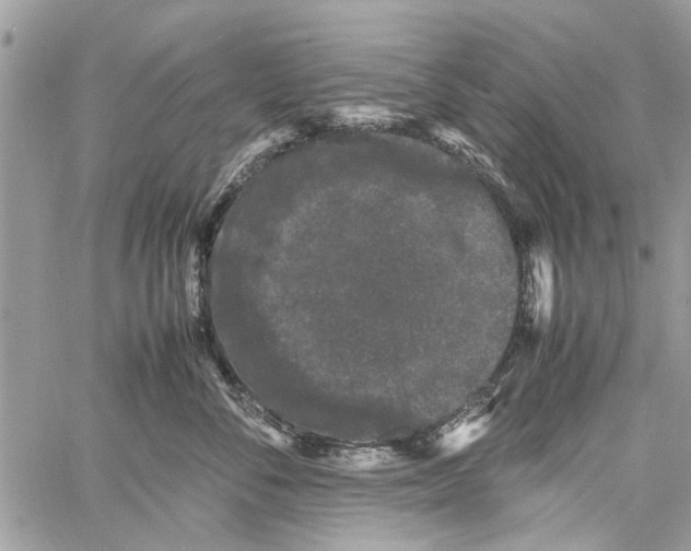 X0000061760716200512302303