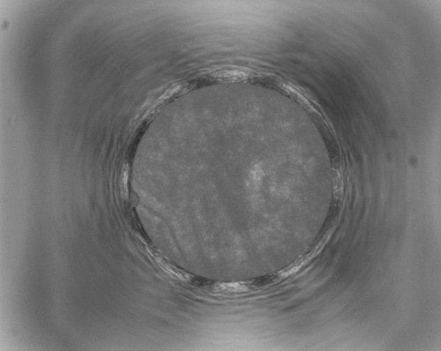 X0000061760717200512302303