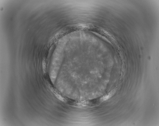 X0000061760720200512302303