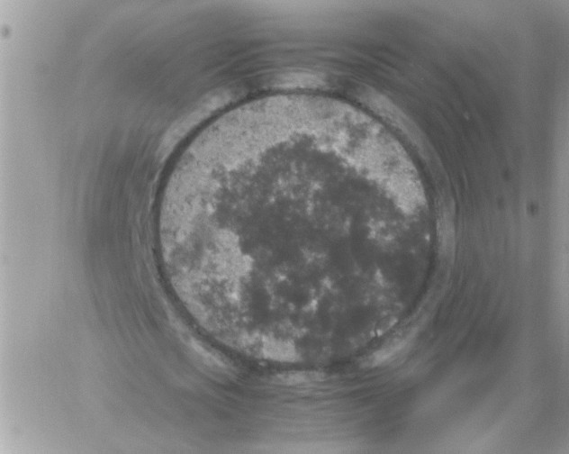 X0000061760721200512302303