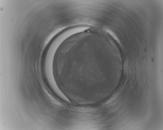 X0000061760722200512302303