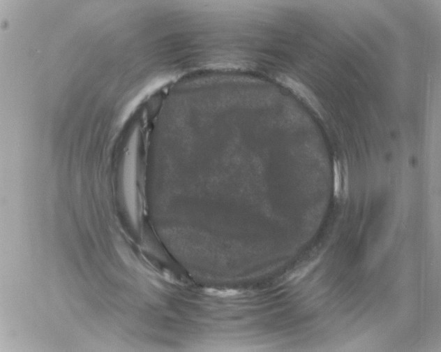 X0000061760723200512302303