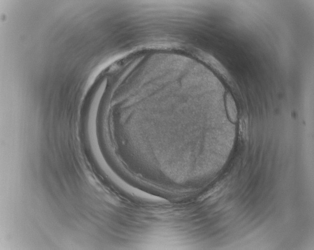 X0000061760724200512302303