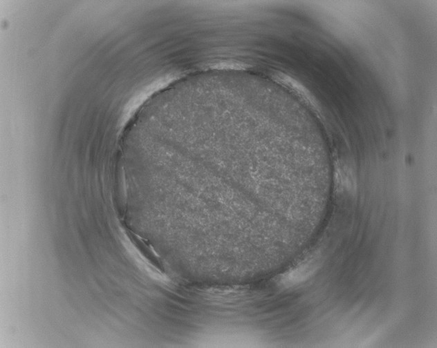 X0000061760725200512302303