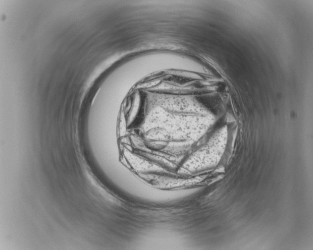 X0000061760726200512302303