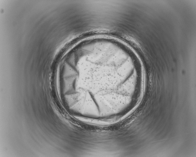 X0000061760730200512302303