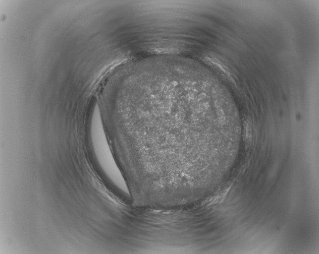 X0000061760733200512302303